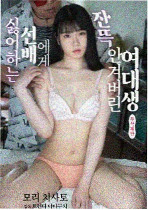榜单赛季封面示意，深棕货架上的排名标签卡